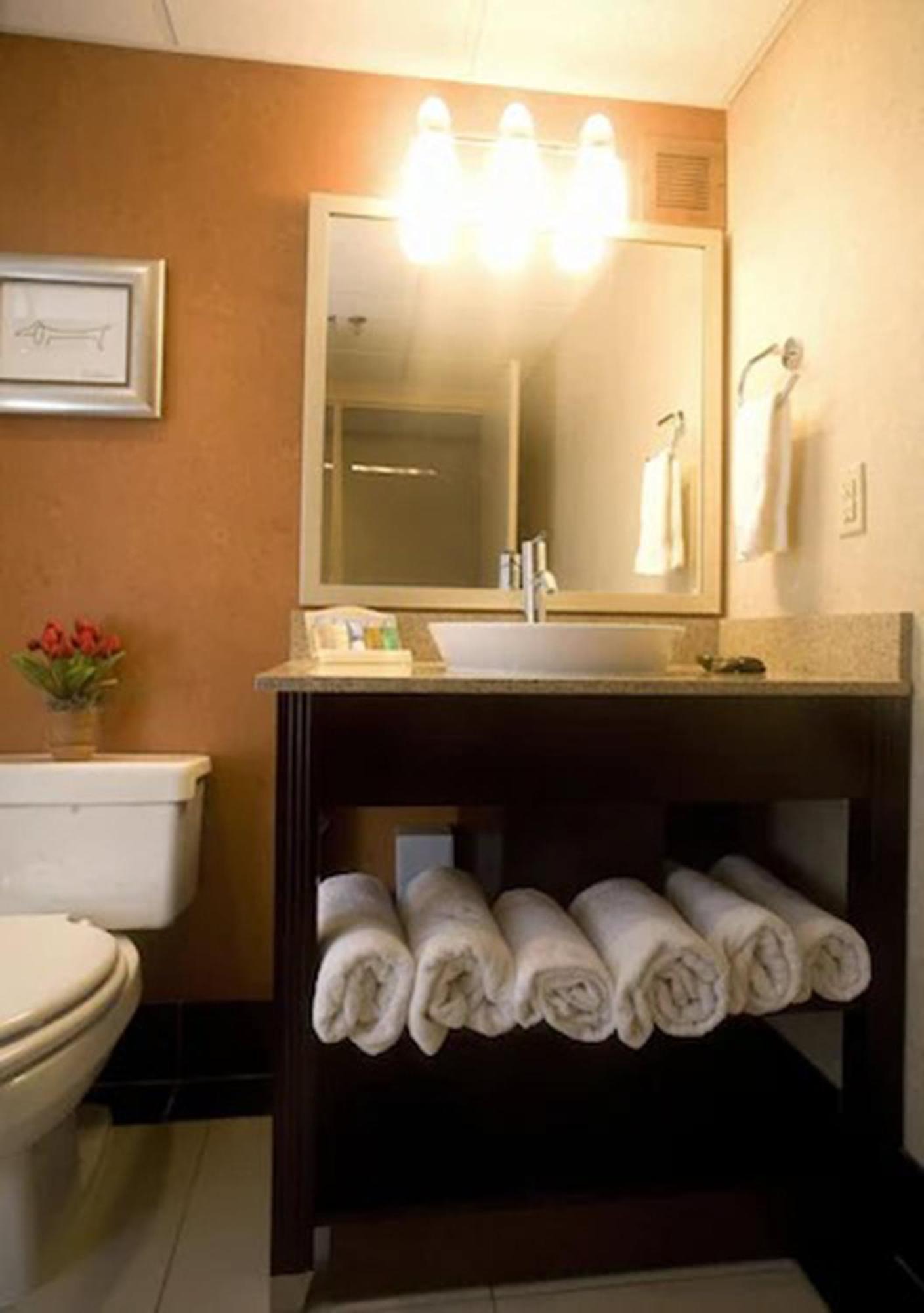 Hotel Doubletree By Hilton Springfield